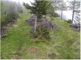 Koprivna (Kumer) - Velika glava (Peca)